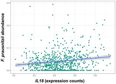 Faecalibacterium prausnitzii promotes intestinal epithelial IL-18 production through activation of the HIF1α pathway